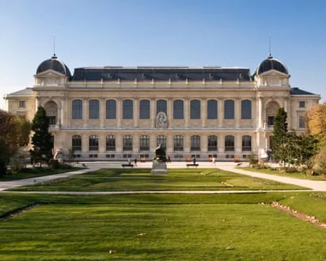 Priceless Golden Specimens Snatched in Audacious Raid at France's National Museum